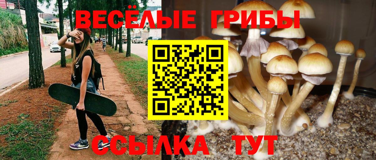 хочу наркоту  Псилоцибиновые грибы GOLDEN TEACHER  Вход с VPN  Омск 